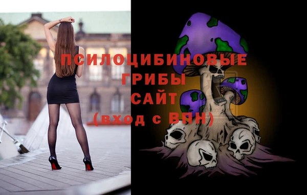 спиды Богородицк