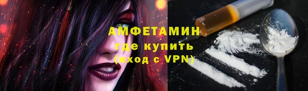 спиды Богородицк