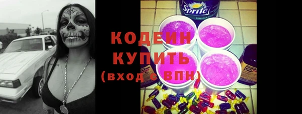 спиды Богородицк