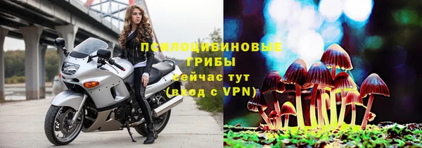 спиды Богородицк