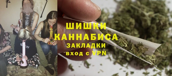 спиды Богородицк