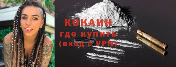 спиды Богородицк
